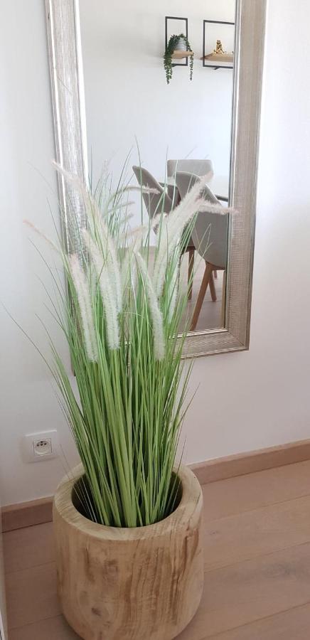 Vakantie-appartement La Régence @ * Oostende